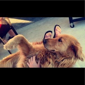 Meet your Posher, Gracie